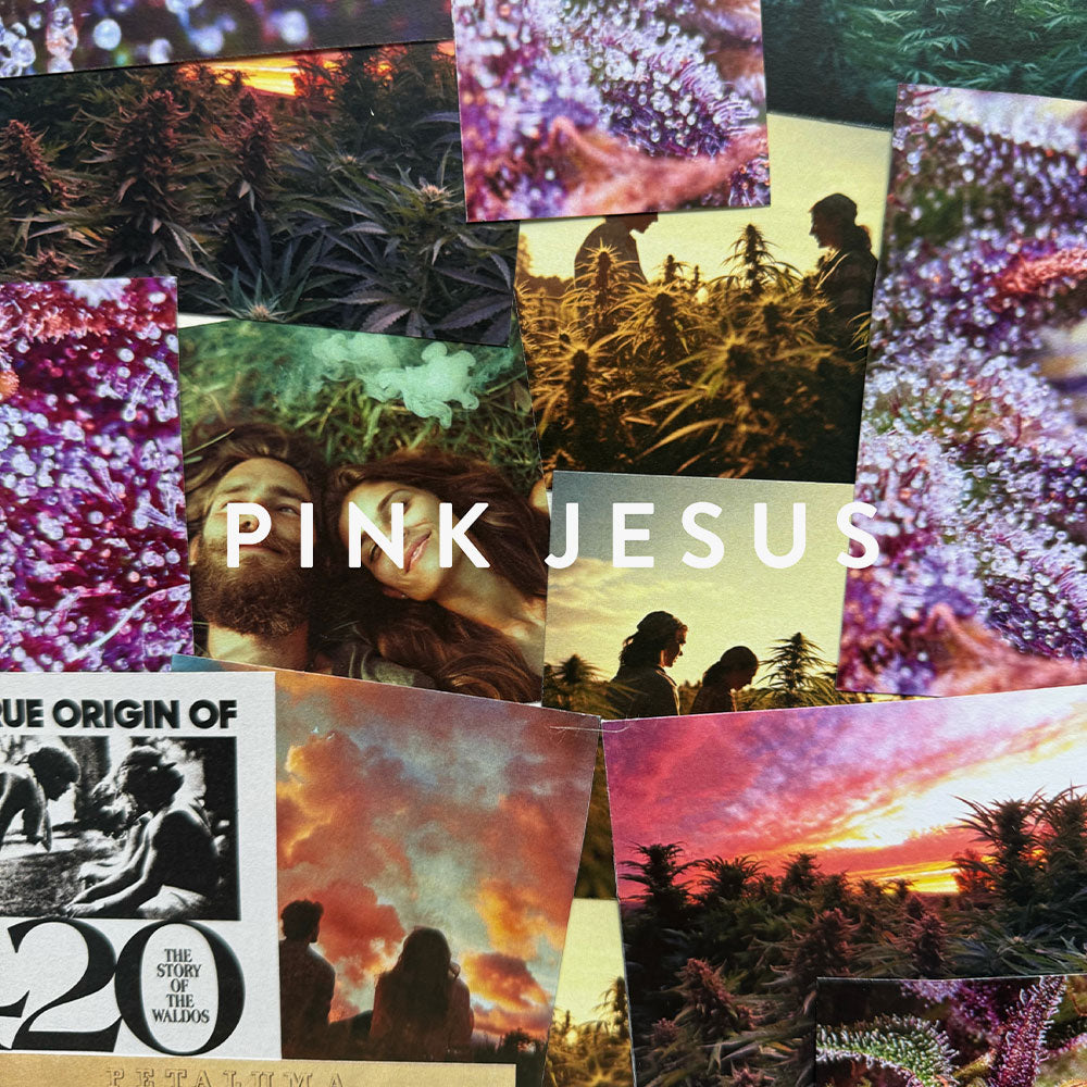 Pink Jesus – Eau de Parfum – 100ml
