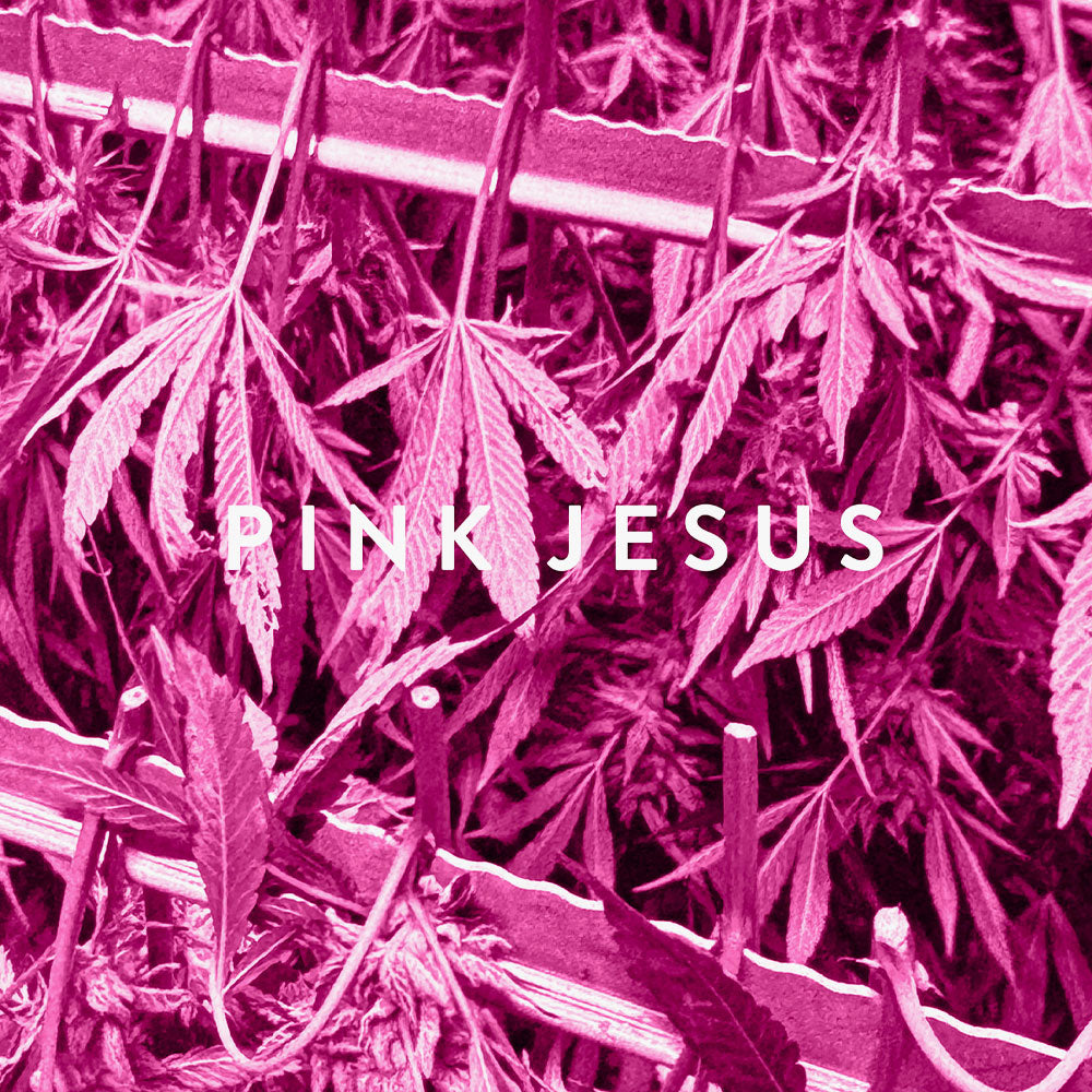 Pink Jesus – Eau de Parfum – 100ml