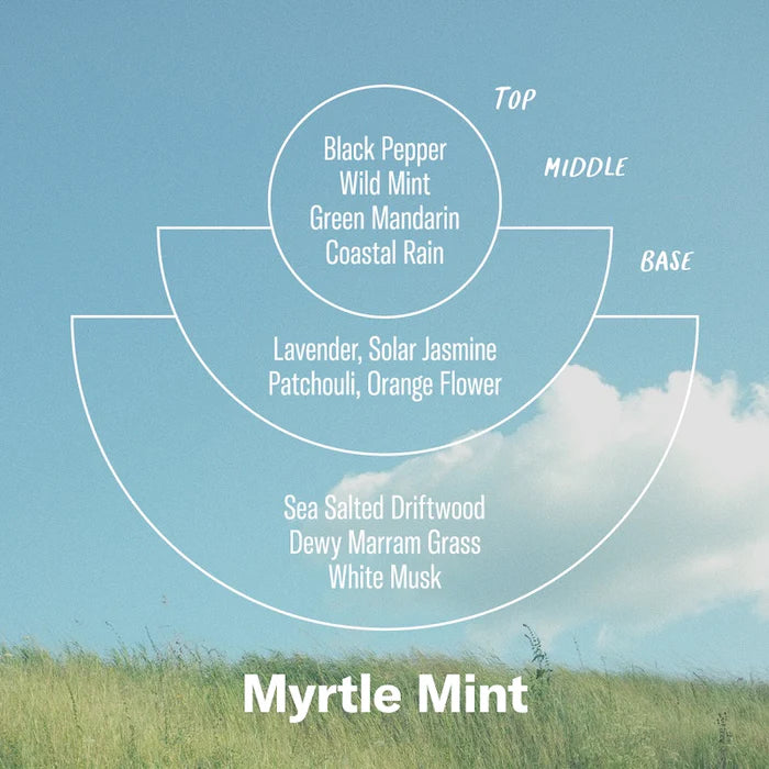 P.F. Candle Co. Alchemy Line: Myrtle Mint – Incense Cones