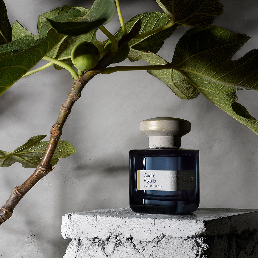 Atelier Materi Cèdre Figalia – Eau de Parfum – 100ml von Céline Perdriel in der Duftnote Grün